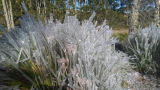 Recanto de Minas - Camanducaia - 1