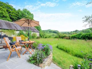 Willow Tit Cottage - Capel-Cynon - 4