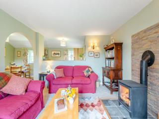 Willow Tit Cottage - Capel-Cynon - 3