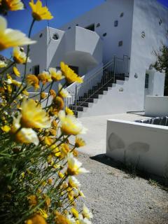 Perivoli House - Kalymnos - 4