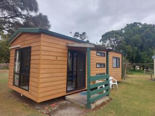 Casuarina Cabins - Nelson - 2