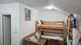 The Castle Mansarde on the slope 7 - Pamporovo - 2