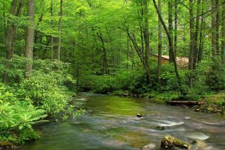 Lemon Ridge Lodge - Unionville - 5
