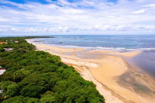 Matapalo 101- 3 Bedroom Poolside Luxury Condo at the Diria Resort - Tamarindo - 5