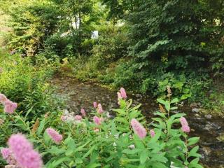 Naturgeist Comfortable holiday residence - 5