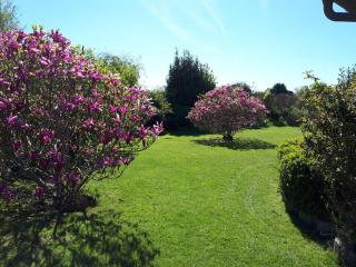 Fuge Comfortable holiday residence - Kappeln - 9