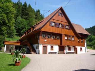 Eulersbacher Hof Comfortable holiday residence - - 9