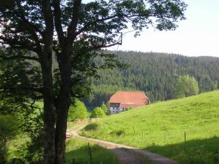 Rutscherhof Comfortable holiday residence - Breitnau - 5