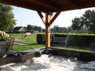 Boerenzwaluw Comfortable holiday residence - Emst - 0
