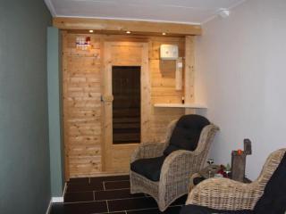 Boerenzwaluw Comfortable holiday residence - Emst - 3