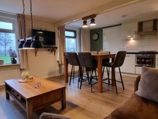 Boerenzwaluw Comfortable holiday residence - Emst - 1