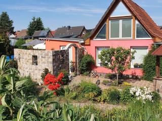 Papillon Comfortable holiday residence - Warenshof - 9