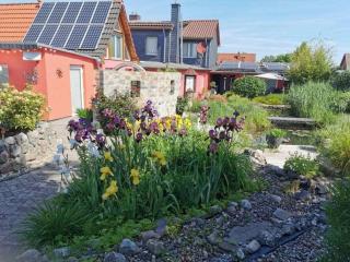 Papillon Comfortable holiday residence - Warenshof - 5