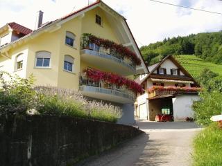 Ferienhof Mayer - Apartment 4 - Lautenbach - 0