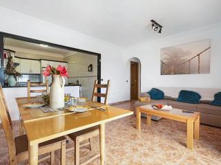Spacious holiday home with private terrace - Puerto de la Cruz - 2