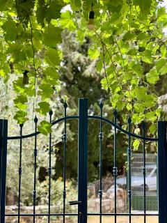 Apartments Aneta's House - 7