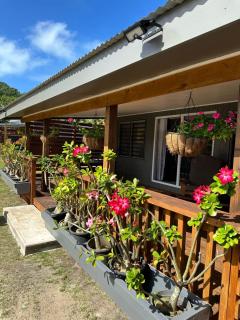 Rangiriri Vacay Unit 2 - Arutanga - 6