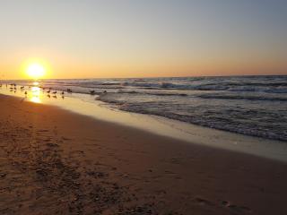 DOMKI MALIBU SARBINOWO - Sarbinowo - 3