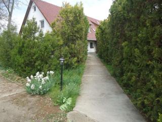 German House Comfortable holiday residence - Szabadkígyós - 3
