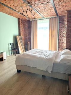 Warthe House Apartament cu gradina in Brasov - B House - Braşov - 0