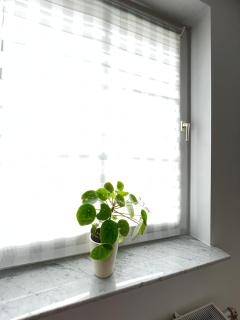 Zwei-Zimmer-Wohnung - Wedemark - 9