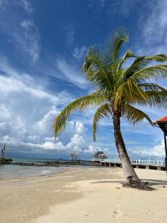 Gold Coast Phu Quoc Beach Resort - Phú Quốc - 9