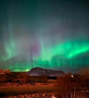 Modern Haug Retreat, Brand New Apartment from 2024 - Storeidet - 9