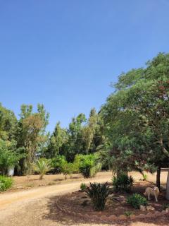 Casa Baratz - Santa Maria la Palma - 3