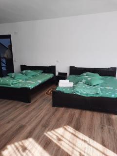 Pensiunea Valea Pintei - 7