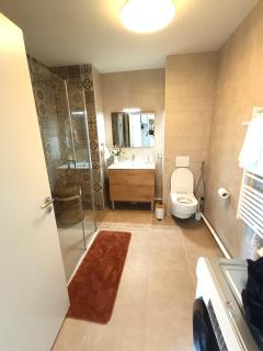 Disney T3 LUXE neuf 6P 2 ch 2 salle de bain parking privé en sous sol lit bébé C105 - Chessy - 6