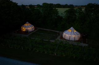 Holmegaard vin og glamping - Dannemare - 8