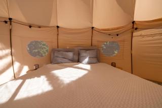 Holmegaard vin og glamping - Dannemare - 2