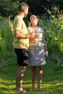 Holmegaard vin og glamping - Dannemare - 1
