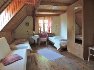Agroturystyka Pod Jesionami - Lądek-Zdrój - 6