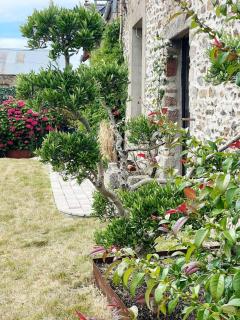 Minimaliste contemporain house - hot tub - sauna - Blainville-sur-Mer - 8