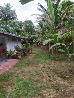 S Guest - Mirissa - 2