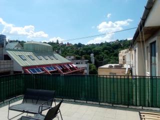 A Rooftop near Danube and Margareth island - Budapest - 6