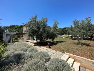 Beach House Mostir - Ugljan - 7
