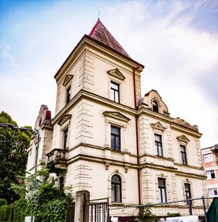 Villa Reim - Trenčianske Teplice - 9
