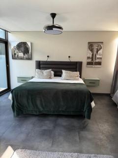 Villa Silver Vos - Hermanus - 1
