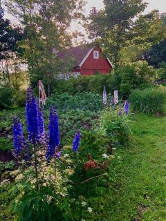 Ängaröds Gård - 6