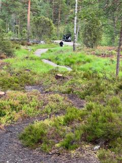 Furuly - Halden - 8