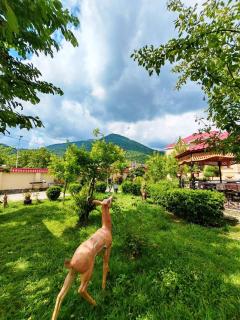 Heavenly place Gabala - 6