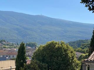le jardin sur le toit, Bédoin - Bédoin - 0