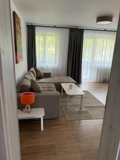 The View Apartment 2 Bușteni - Buşteni - 8