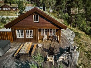 Large luxury cottage in Hemsedal GolfAlpin - Gol - 1