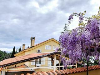 Apartman Rosi - Dramalj - 6