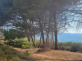 Résidence les jardins de la mer 20230 marine de bravonne - Linguizzetta - 4