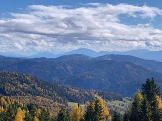Tomtegl-Bergchalet-No-5-mit-Privatsauna-Infinitypool-Kamin-Fitnessraum-1500m-Seehoehe - Hochrindl - 1