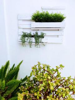 Carola GuestHouse - Tarifa - 9